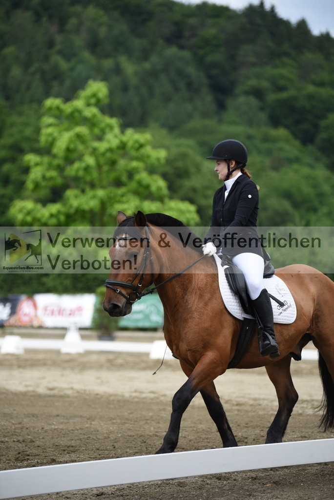 DSC_8309 | equestrian-live-com