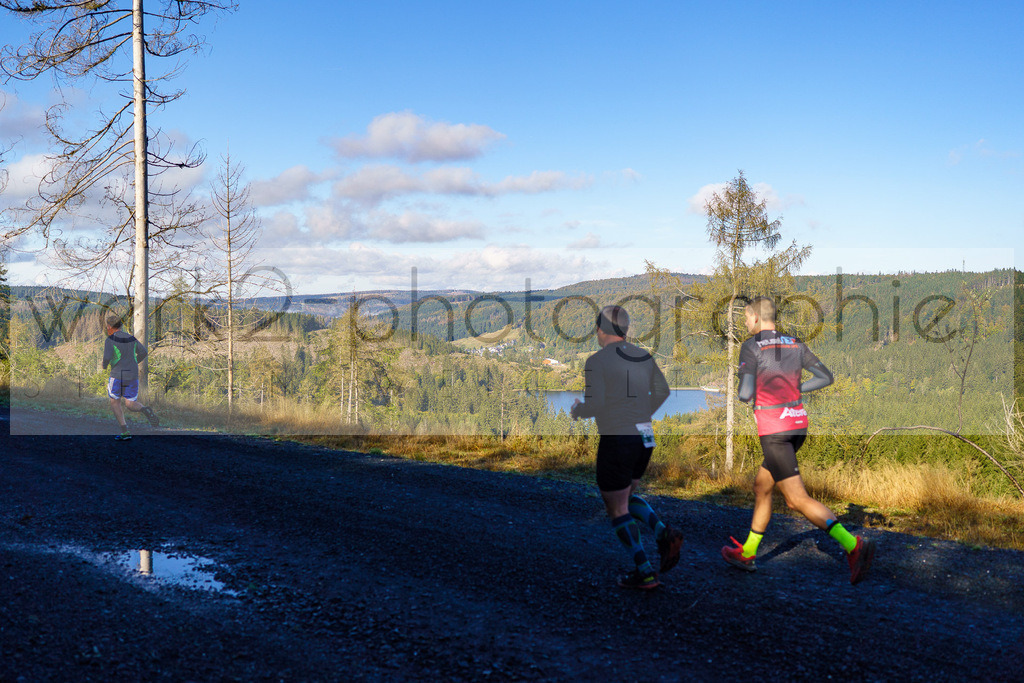 Herbstlauf 2024 | Rennsteig-Herbstlauf von Neuhaus am Rennweg nach Masserberg am 6. Oktober 2024