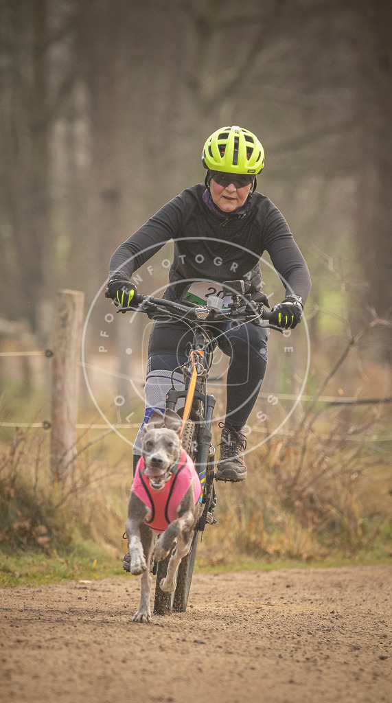 Pfotenfotografie_DV3A2035 | Hundefotografie, Tierfotograf, Pfotenfotografie, Fotoshooting Hund, Hunde Portrait, Hundesport, Hundeportraits, Heideshooting, Hunde, Sportfotograf, Hundefotograf, Turnierhundsport, THS,  - Realisiert mit Pictrs.com