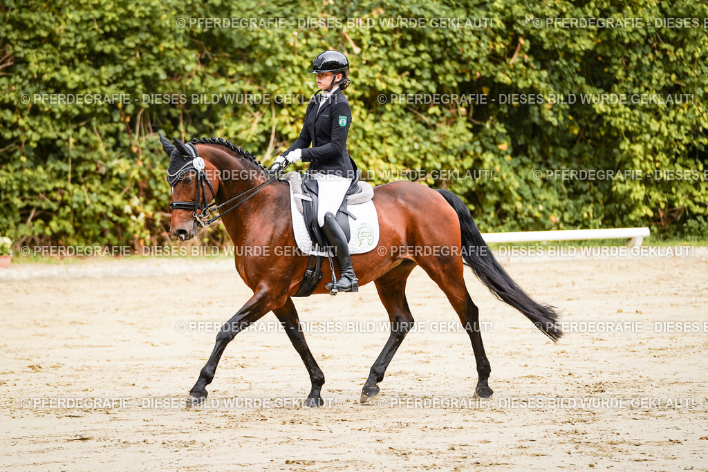 DSC01859 | Pferdegrafie