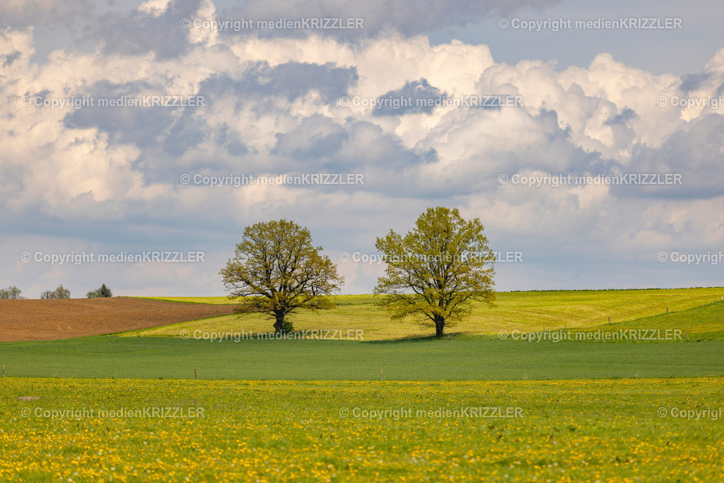 _J3A0590 | medienkrizzler - Realisiert mit Pictrs.com