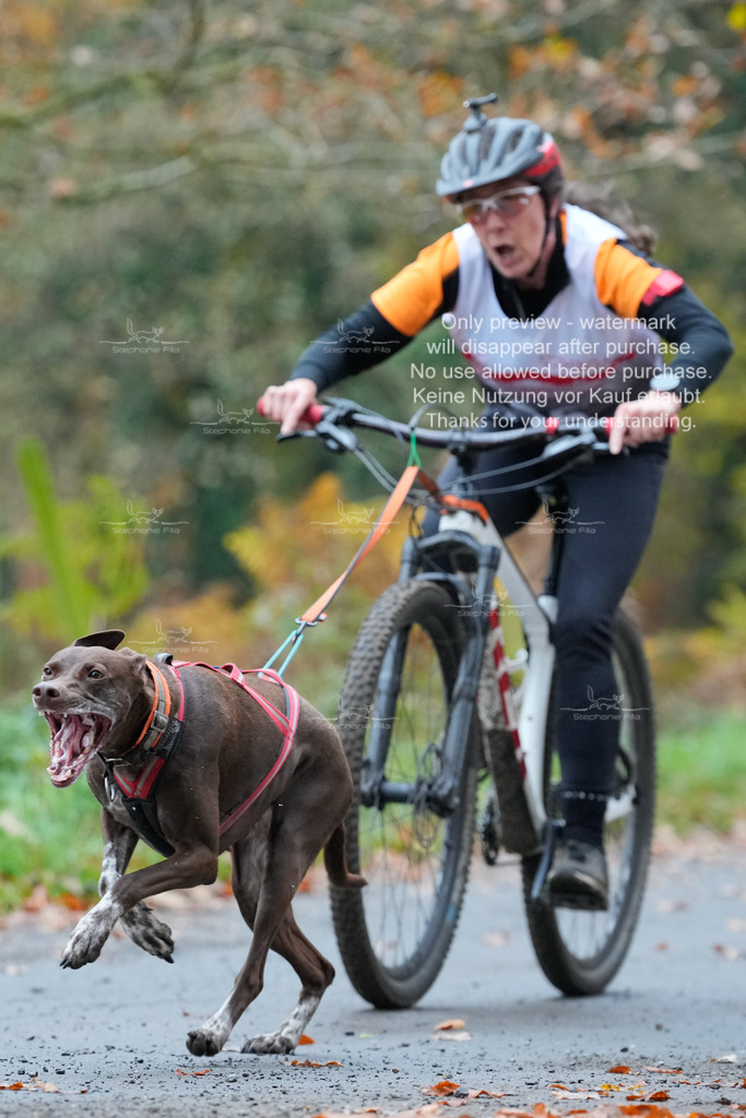 AusschnitteSo-28 | stephaniefillaphotographie - Realisiert mit Pictrs.com