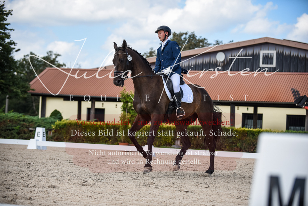 DSC_9193 | Pferde- und Turnierfotografie in Westsachsen. Pferdeportraits, Auftragszeichnungen und intuitive Kunst.