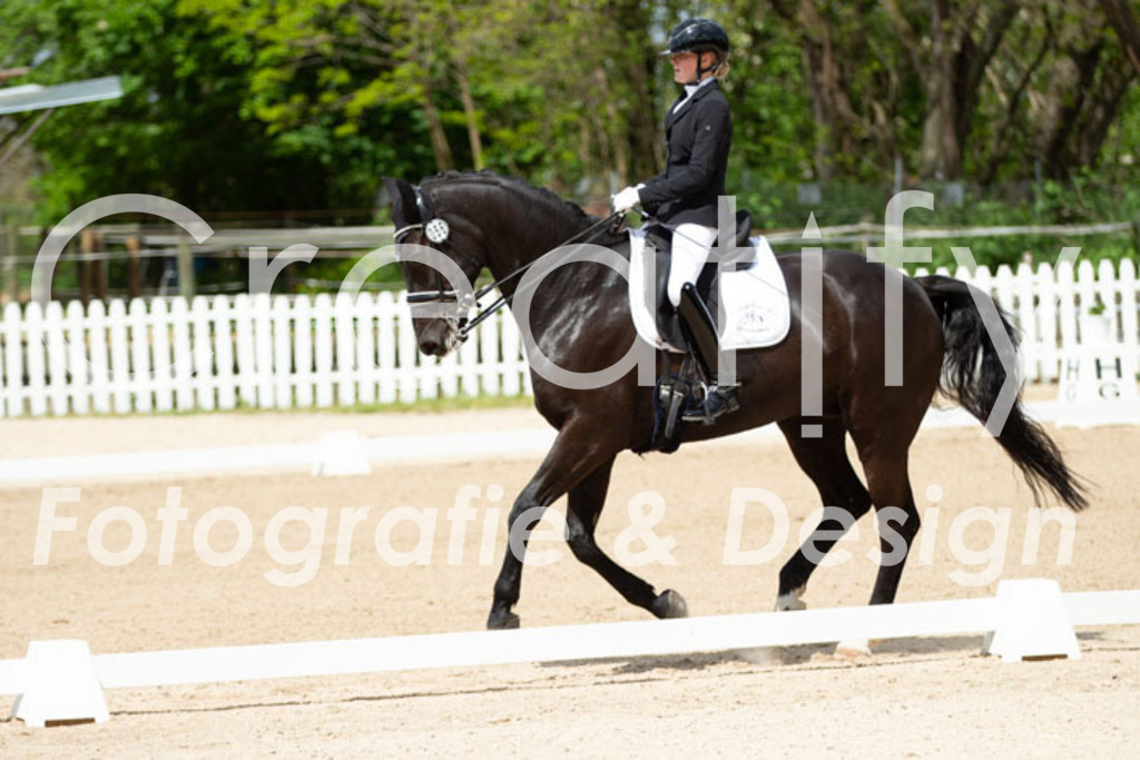 IMG_5840 | Creatify Fotografie