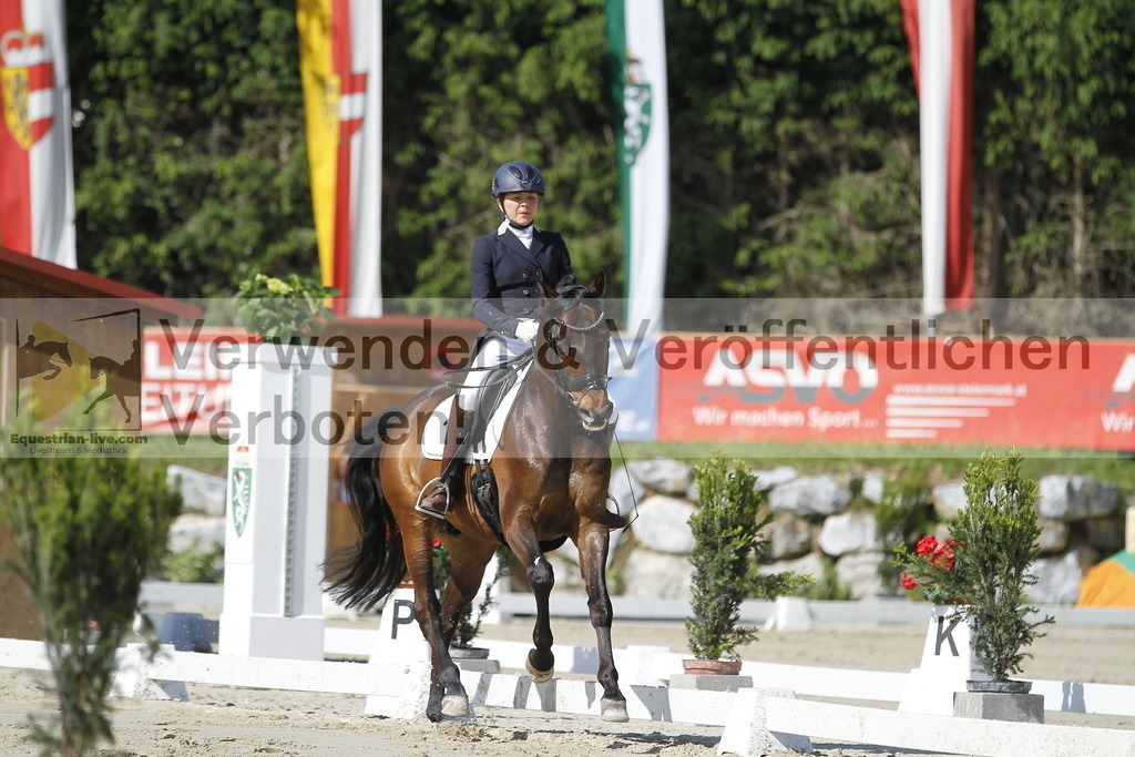 _MG_2881 | equestrian-live-com