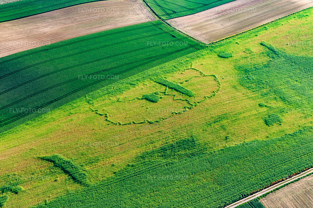 Aerial view: Archaeological traces through growth differences in the cornfield in Wintzenbach in the state Bas-Rhin, France. – Photo: IMG_115031.jpg taken on 06/01/2019 by Werner Riehm/FLY-FOTO.com – Resolution of the original: 5472 x 3648 px