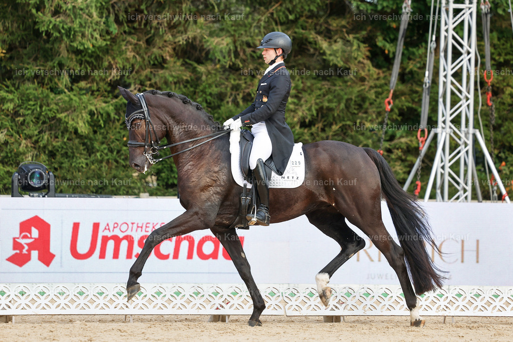 13-229-S___ -StoibPH-6977 | working equitationturnier fotograf videograf stoibphotography marixx film working equitation deutschland reitsport turnierfotografie eventfotografie equestrian events