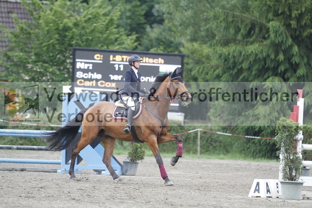 _MG_8251 | equestrian-live-com