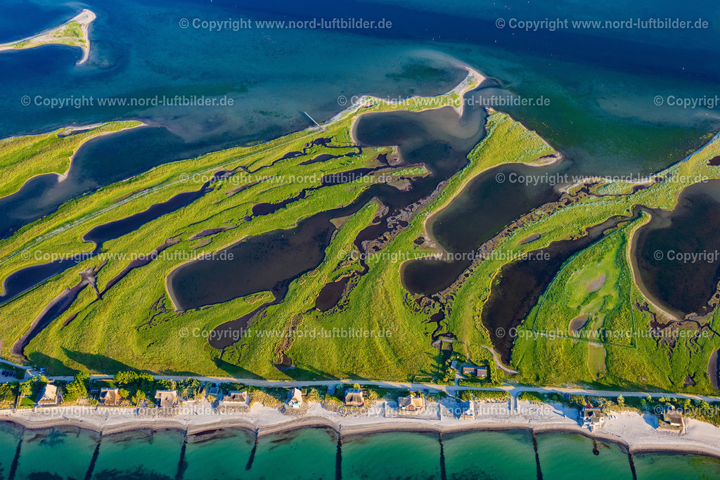 Heiligenhafen_ELS_9022030622 | HEILIGENHAFEN 03.06.2022 Küstenbereich mit sandiger Strand- und Gras- Landschaft der Halbinsel Graswarder-Heilgenhafen mit einigen Einfamilienhäusern in Großenbrode im Bundesland Schleswig-Holstein. // Coastal area of the peninsula Graswarder-Heilgenhafen with a few single- family houses at the beach in Grossenbrode in the state Schleswig-Holstein. Foto: Martin Elsen