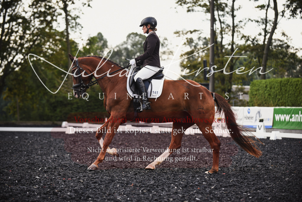 DSC_4000 | Pferde- und Turnierfotografie in Westsachsen. Pferdeportraits, Auftragszeichnungen und intuitive Kunst.