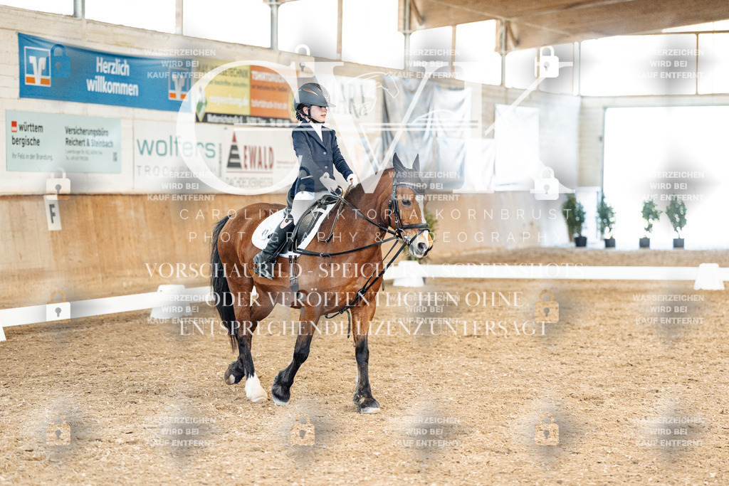 CK900496 | Turnierfotografie Pferdefotografie Trier Rheinland-Pfalz Pferdesport Reitsport Tierfotografie Sportfotografie Pferdevideo Pferdevideografie Equestrianvideography equestrianphotography  - Realisiert mit Pictrs.com