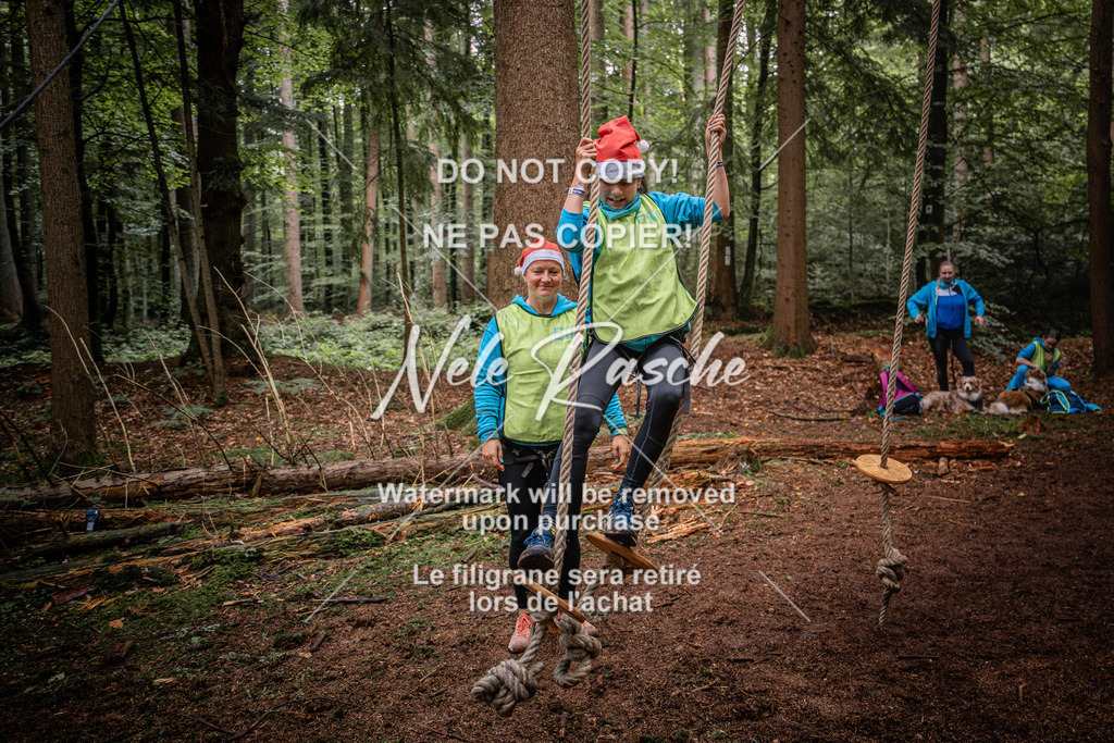 nelerasche_SoWingst1030-1130_89 | nelerasche