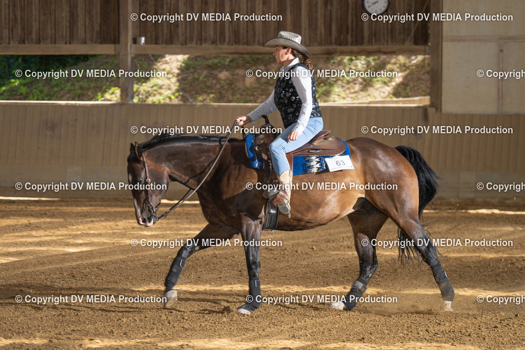 DSC00215 | dv-media-shop - Realisiert mit Pictrs.com