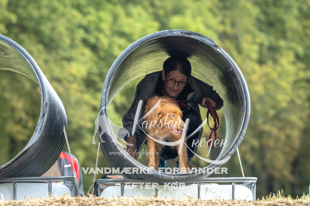 1037_ZZ92628 | kk-dogfotos