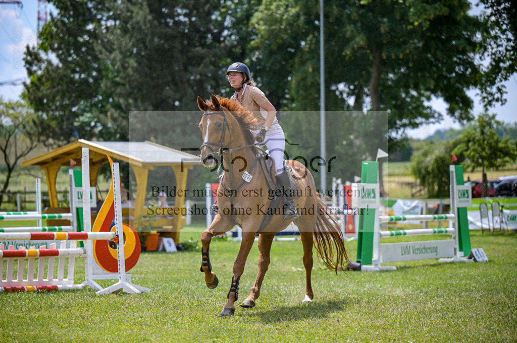 Reitturnier Voxtrup | Entdecke hochwertige Reitturnierfotos von Foto Oger. Professionell, emotional und authentisch – jetzt Lieblingsmomente im Shop bestellen.Deutschlandweite Turnierfotografie. - Realisiert mit Pictrs.com