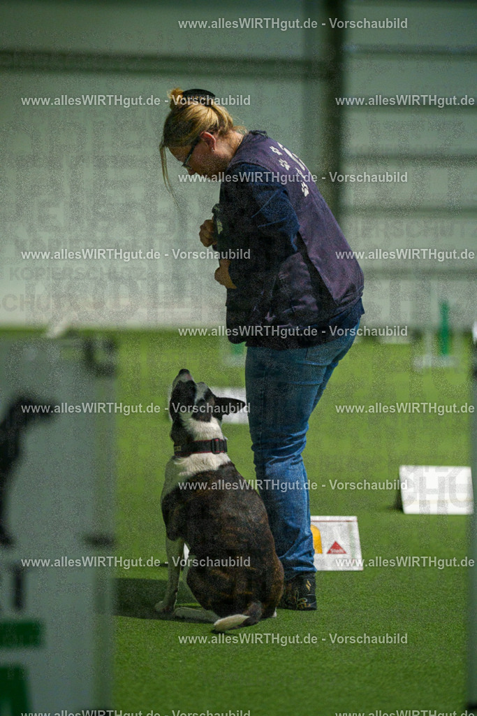 7R504685 | Professionelle Tierfotografie in Mönchengladbach von Daniel Wirth (allesWIRTHgut). Liebevolle & natürliche Bilder von Hunden & Katzen für unvergessliche Erinnerungen.