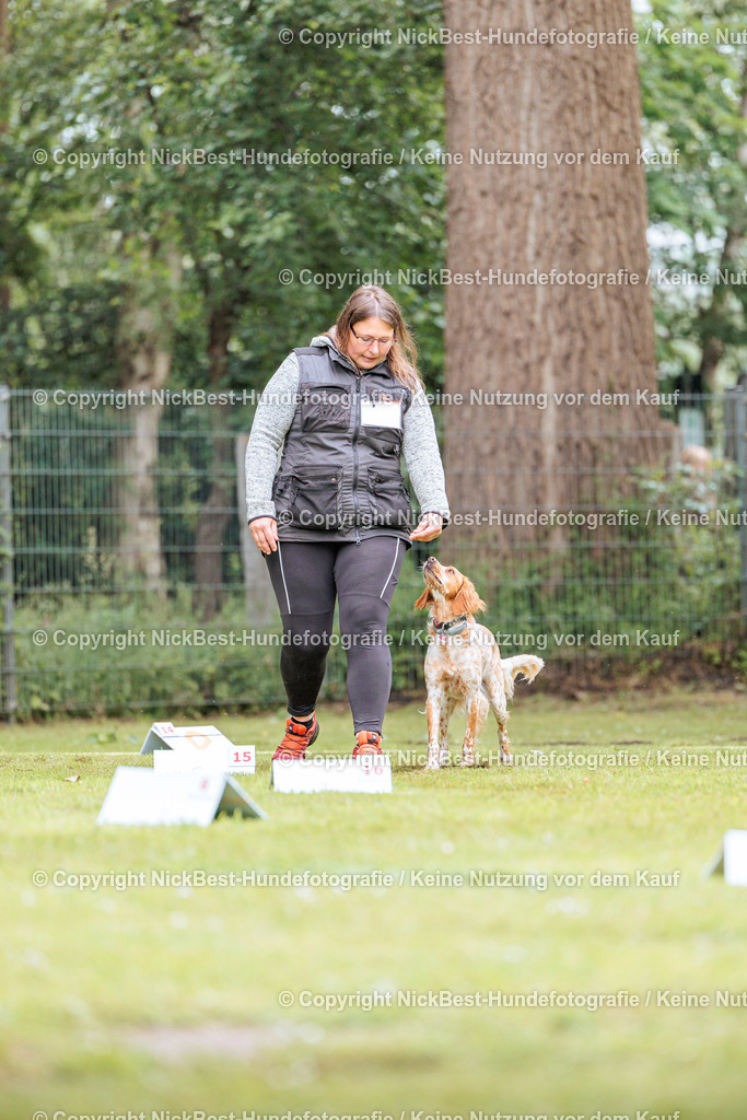 RO-Blumenthal-2026-Nickbest-Hundefotografie-3734 | Dein Hund! Dein Moment! Deine Erinnerungen! Hundefotografie in Bremen Blumenthal. Ich fange die besonderen Momente deines Vierbeiners ein – ob Indoor mit Blitzanlage oder in der freien Natur. Sicher dir dein Moment und dein Termin für eure Erinnerungen.