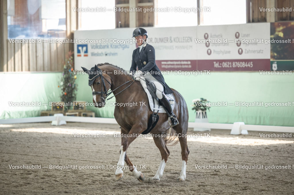 _D5A9364 | Emotionale Pferde- & People-Fotografie rund um Heidelberg, Leimen & Umgebung. Natürliche Fotos von Pferd, Mensch & Familie. Jetzt Termin sichern!