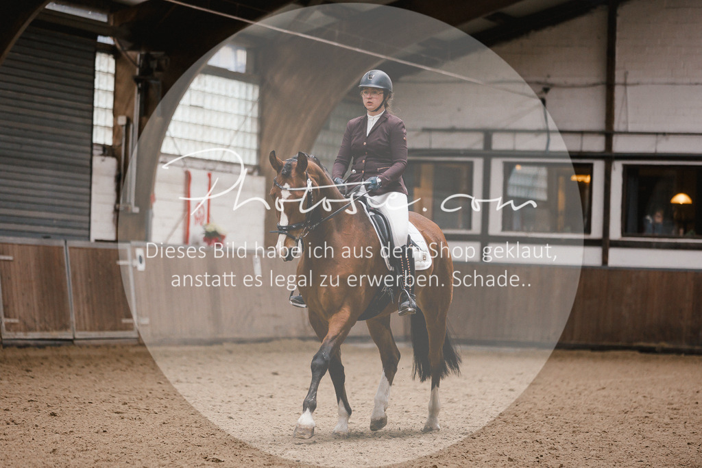3I6A6881 | Stimmungsvolle Portraits und Reitsportfotografie im Ruhrgebiet und im Münsterland.

Pferdefotografie, Hundefotografie, Tierfotografie, Reportagen, Portraits von Tier und Mensch, Turnierfotografie in Bochum, Recklinghausen, Marl, Haltern am See, Dülmen.. - Realisiert mit Pictrs.com