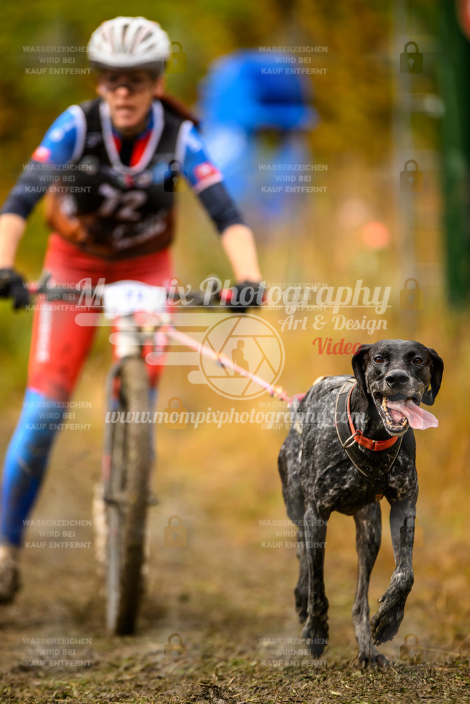 MompixPhotography_ICF_WC_2024_SA_DS_-174 | PayLife
