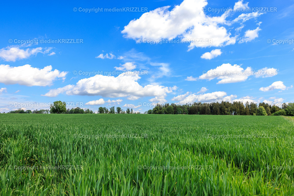 _J3A7869 | medienkrizzler - Realisiert mit Pictrs.com