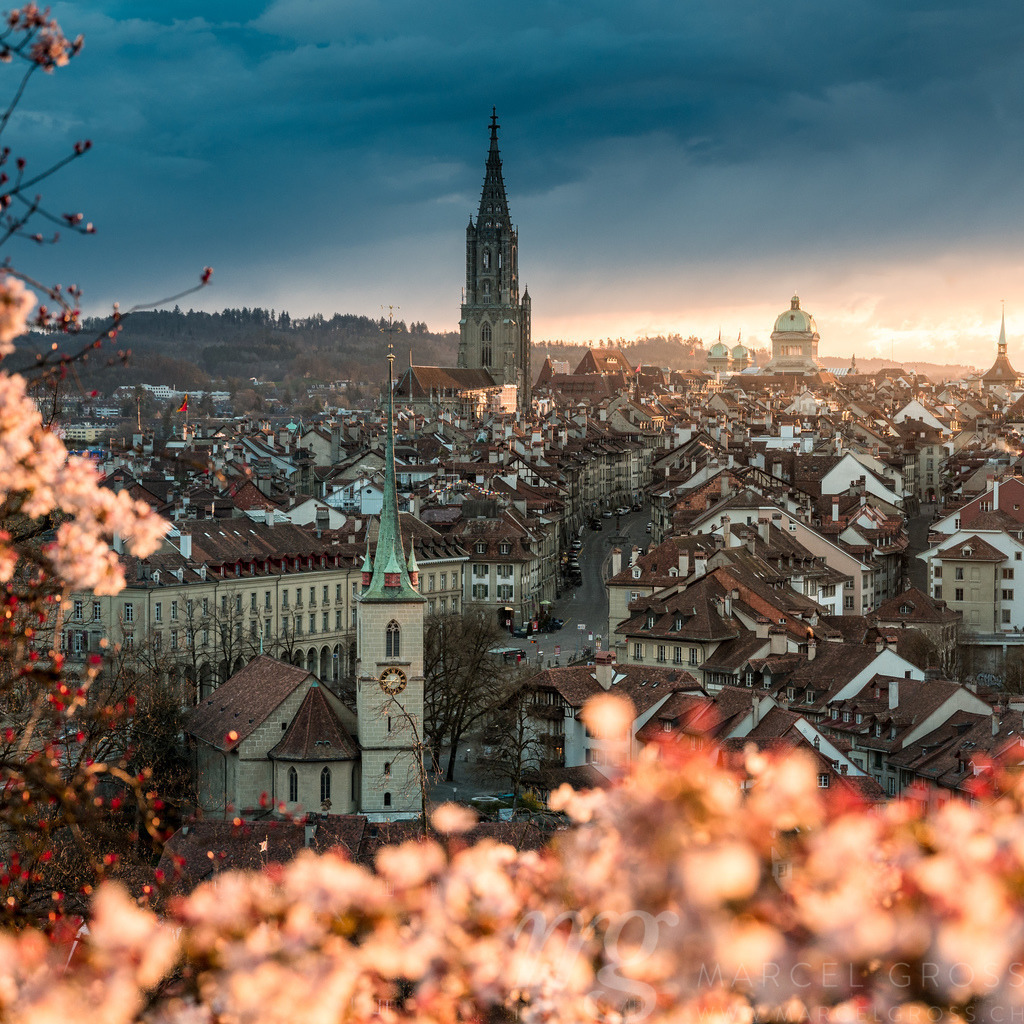 sunset durign cherry blossom in Bern seen from Rosengarten | Die ideale Geschenkidee für Naturliebhaber. Naturbilder von Marcel Gross Photography für ihr Zuhause in den verschiedensten Formaten und Materialien. - Realisiert mit Pictrs.com