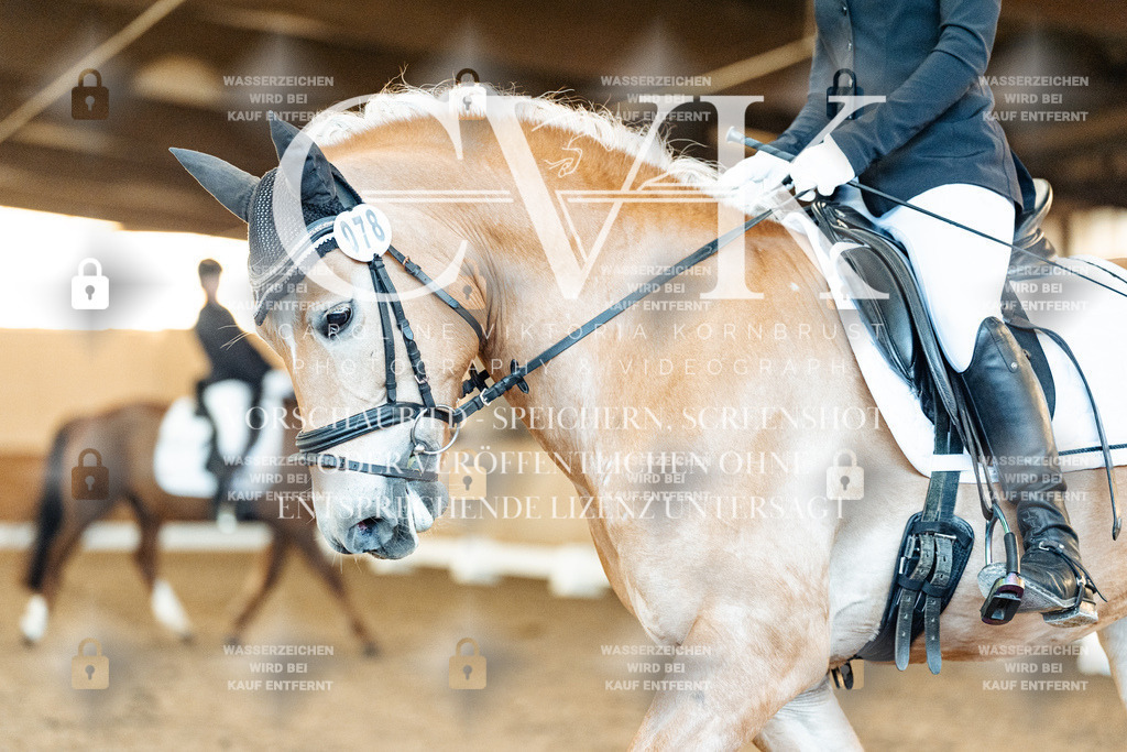 CK907066 | Turnierfotografie Pferdefotografie Trier Rheinland-Pfalz Pferdesport Reitsport Tierfotografie Sportfotografie Pferdevideo Pferdevideografie Equestrianvideography equestrianphotography  - Realisiert mit Pictrs.com