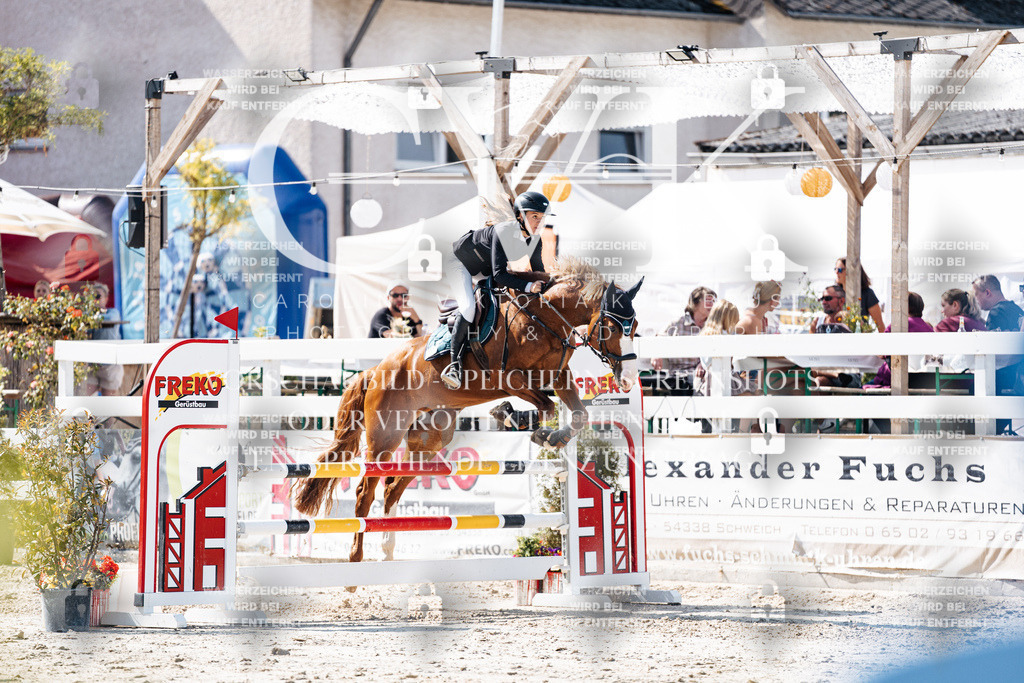 CK908238 | Turnierfotografie Pferdefotografie Trier Rheinland-Pfalz Pferdesport Reitsport Tierfotografie Sportfotografie Pferdevideo Pferdevideografie Equestrianvideography equestrianphotography  - Realisiert mit Pictrs.com