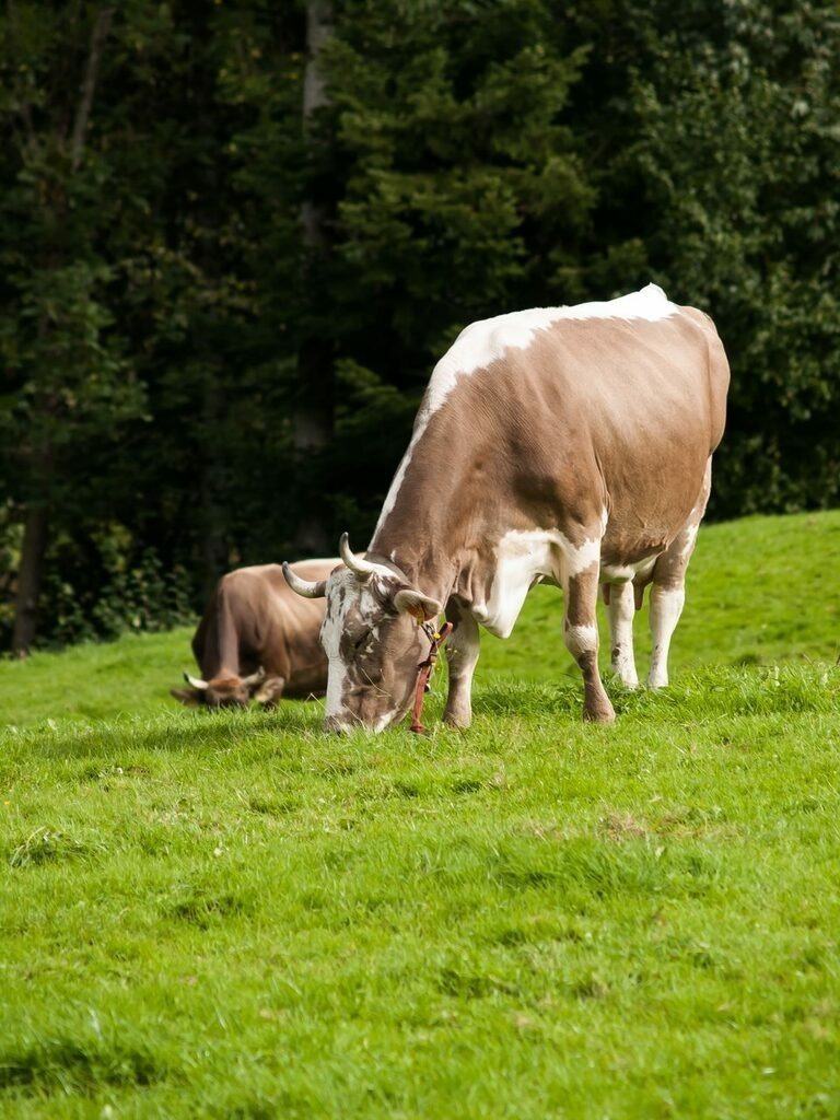 PSX_20220927_095948 | mtkfoto_ - Realisiert mit Pictrs.com