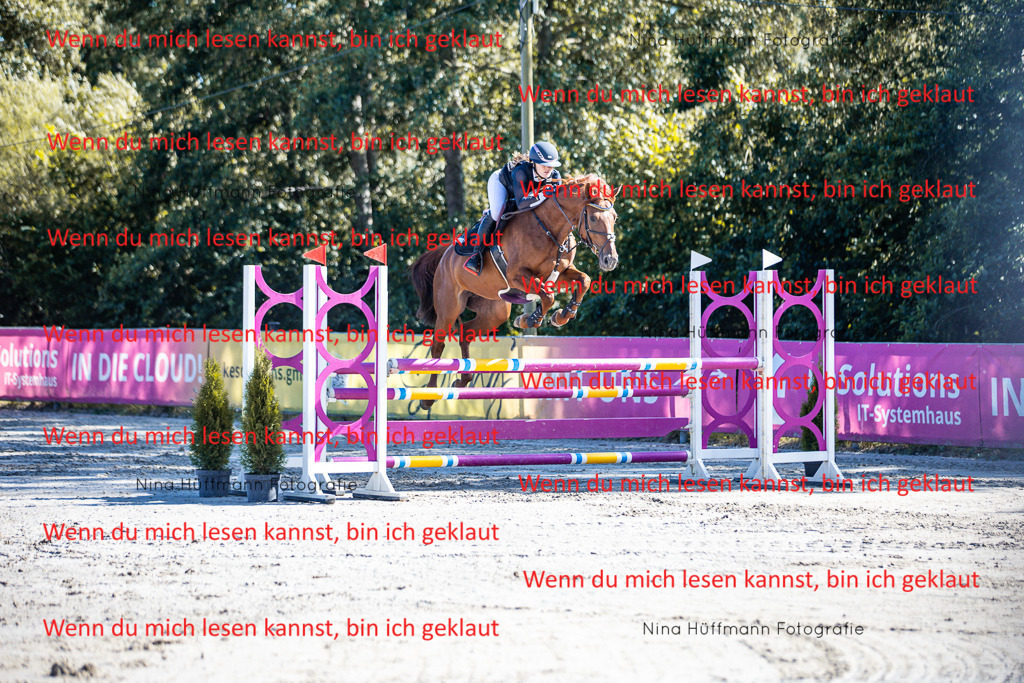 BK1A5693 | Turnierbilder Turnierfotos Nina Hüffmann Turnierfotografie Pferdefotografie Tierzeichnung Haustierzeichnung Pferdezeichnung Hundezeichnung Videograf  - Realisiert mit Pictrs.com