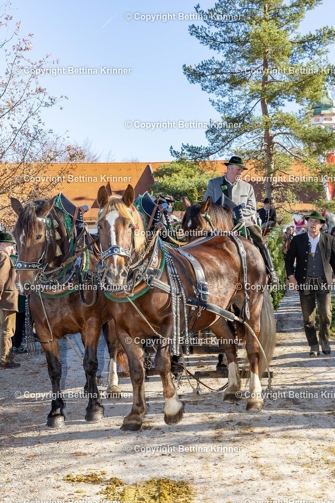 LBT25-1260 | foto-bettina-krinner - Realisiert mit Pictrs.com