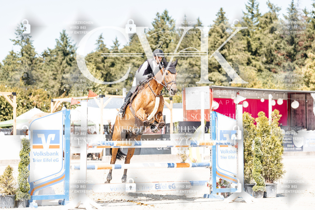 CK900602 | Turnierfotografie Pferdefotografie Trier Rheinland-Pfalz Pferdesport Reitsport Tierfotografie Sportfotografie Pferdevideo Pferdevideografie Equestrianvideography equestrianphotography  - Realisiert mit Pictrs.com