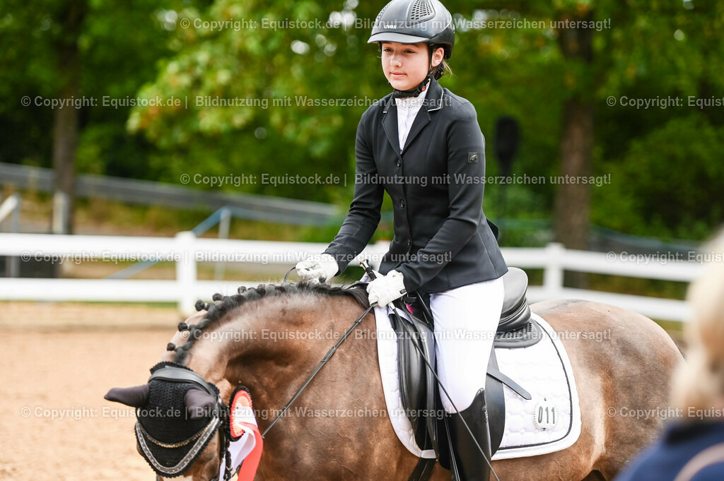 20230716_10-1_Reiter-WB Schritt - Trab - Galopp_0251 | equistock
