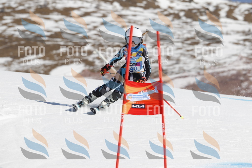 _U3G9226 | holidayphoto