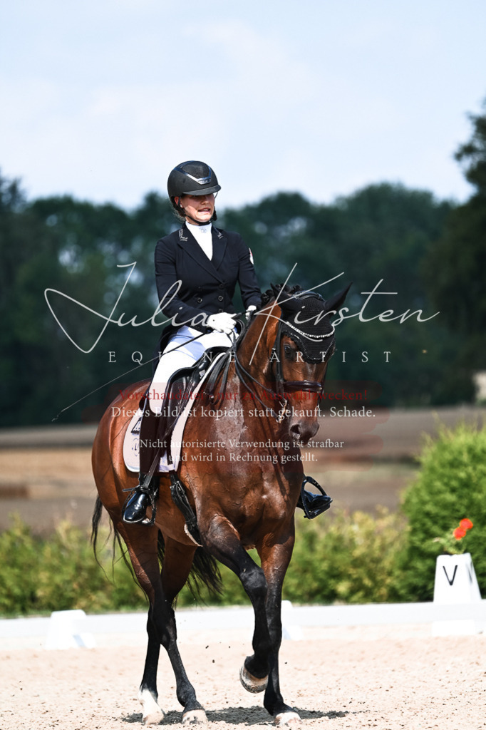 DSC_3110 | Pferde- und Turnierfotografie in Westsachsen. Pferdeportraits, Auftragszeichnungen und intuitive Kunst.