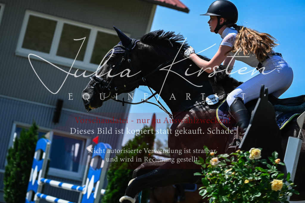 DSC_0976 | Pferde- und Turnierfotografie in Westsachsen. Pferdeportraits, Auftragszeichnungen und intuitive Kunst.