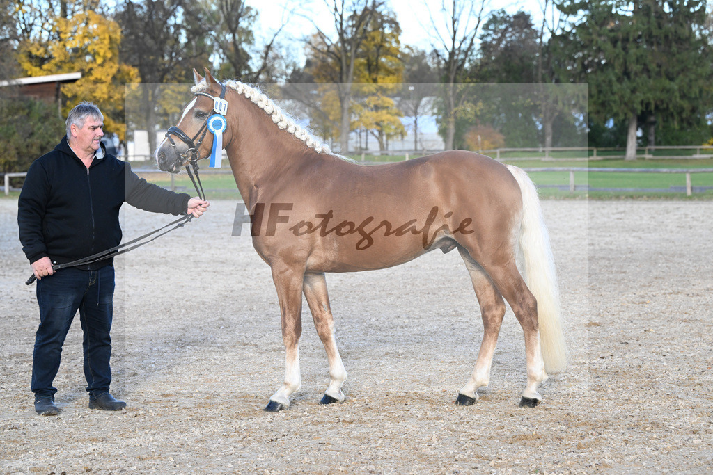 Kat-Nr. 7 Narcotic v. Nakuri_ZG Hackfurt u Weiser_43250840 | hf-fotografie - Realisiert mit Pictrs.com