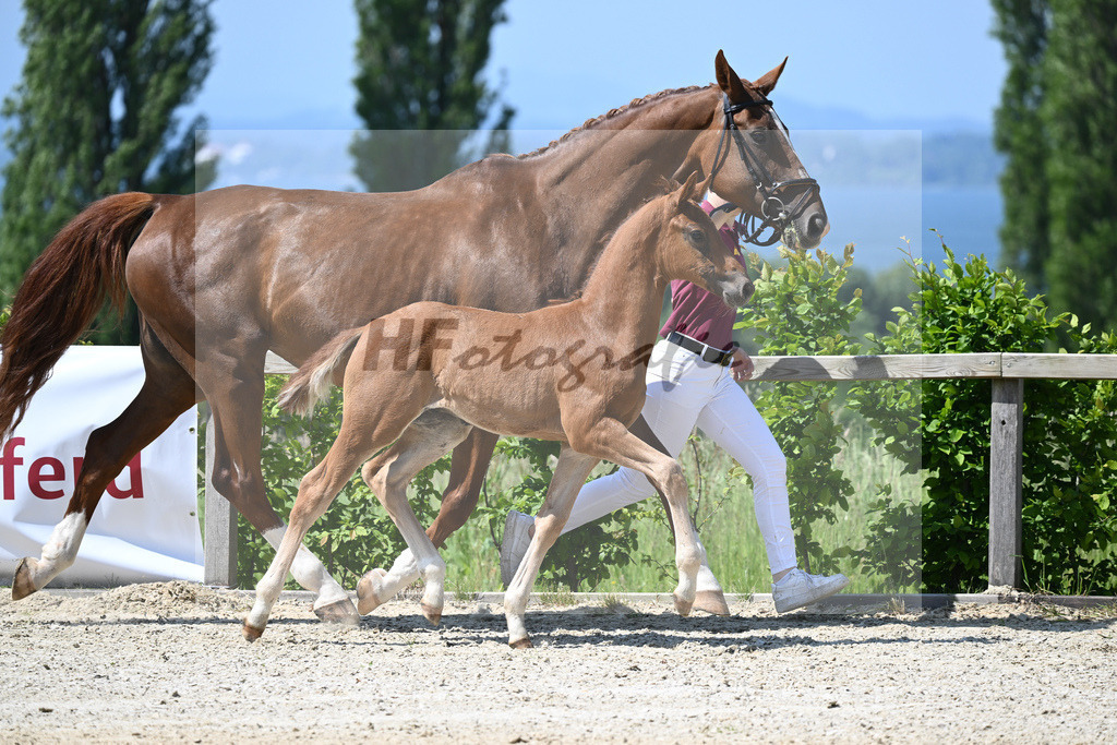 Kat-Nr. 8 HF DSP Feliciano_Niedermair_15230168 | hf-fotografie - Realizzato con Pictrs.com