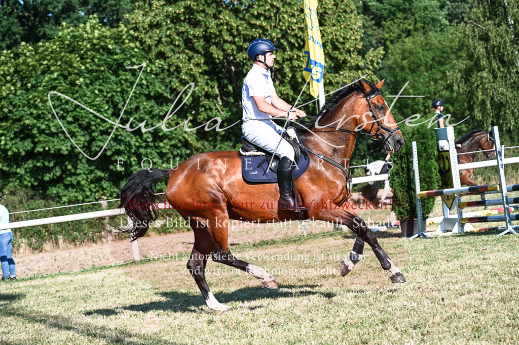 DSC_2725 | Pferde- und Turnierfotografie in Westsachsen. Pferdeportraits, Auftragszeichnungen und intuitive Kunst.