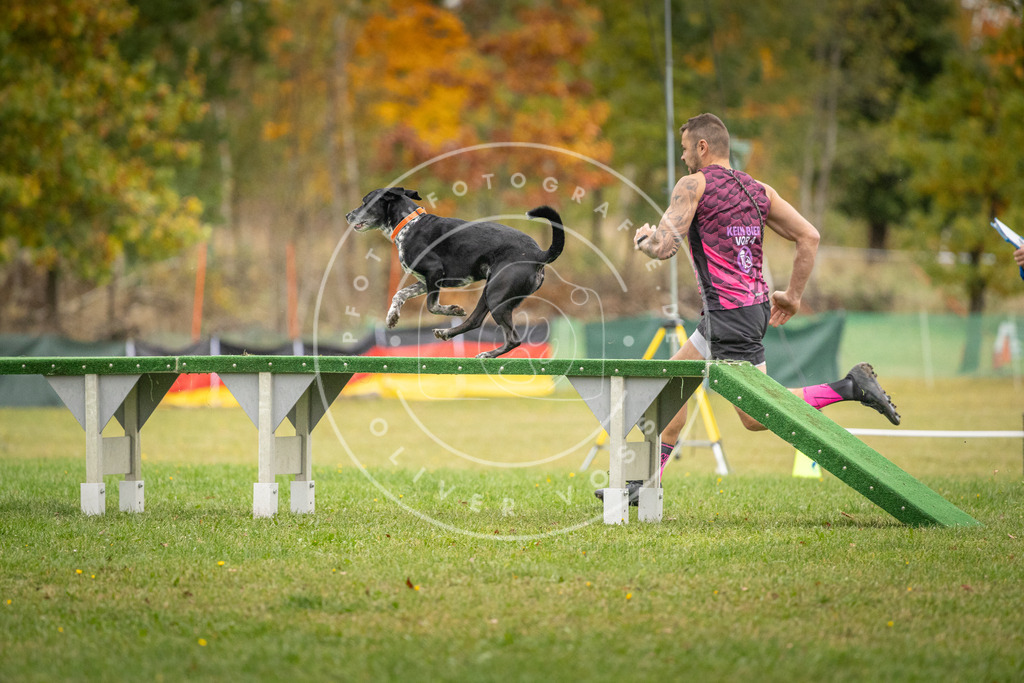 Pfotenfotografie_DV3A9822 | Hundefotografie, Tierfotograf, Pfotenfotografie, Fotoshooting Hund, Hunde Portrait, Hundesport, Hundeportraits, Heideshooting, Hunde, Sportfotograf, Hundefotograf, Turnierhundsport, THS,  - Realisiert mit Pictrs.com
