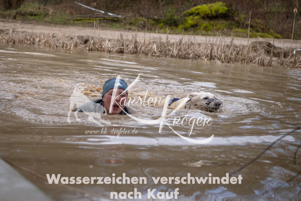 0946_ZZ91304 | kk-dogfotos
