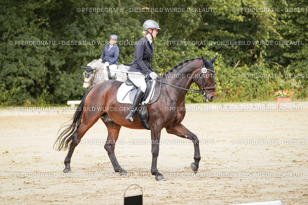 DSC01681 | Pferdegrafie