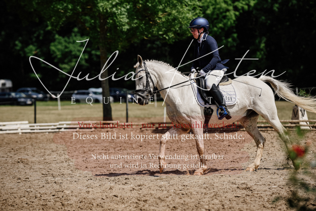 DSC_1845 | Pferde- und Turnierfotografie in Westsachsen. Pferdeportraits, Auftragszeichnungen und intuitive Kunst.