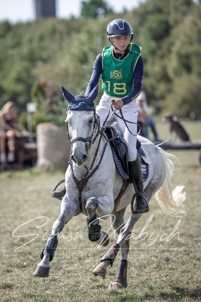 20250907-_3LI1976 | Tierfotografie Pferde, Hunde, Katzen, Haustiere.
Turnierfotografie Reitturniere, Reiten, Springreiten, Dressur in Hanau, dem Main-Kinzig-Kreis und dem Rhein-Main- Gebiet um Frankfurt