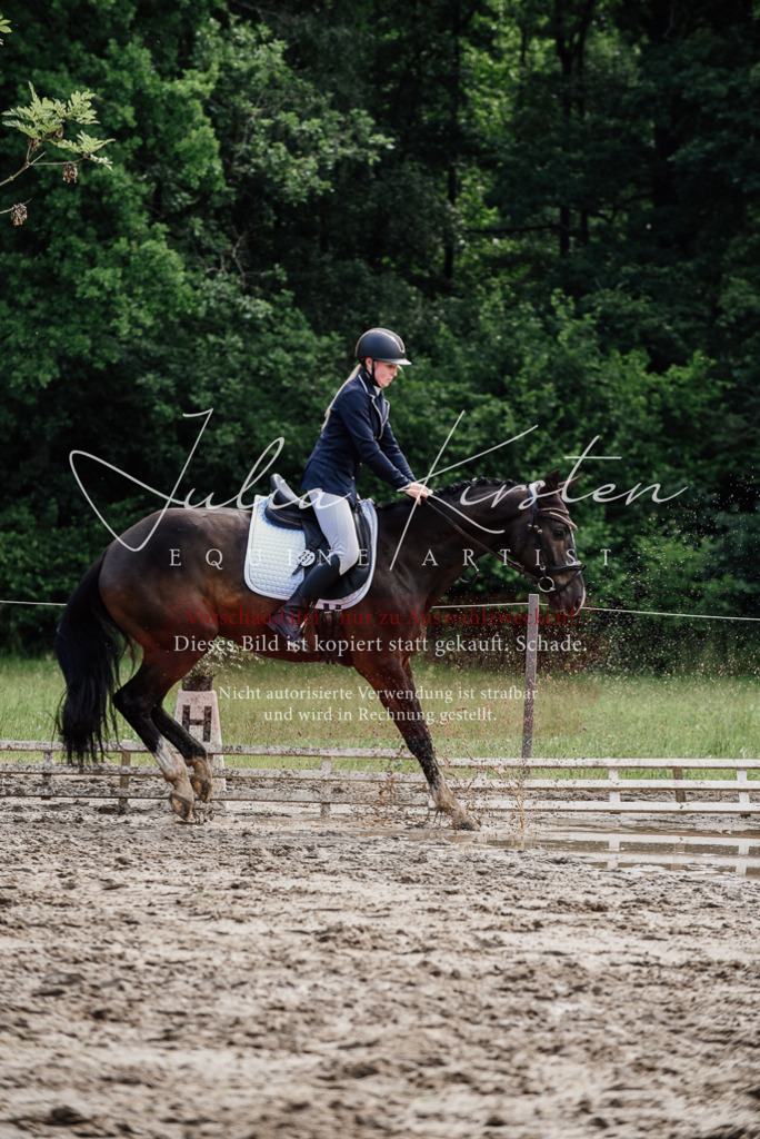 DSC_0060 | Pferde- und Turnierfotografie in Westsachsen. Pferdeportraits, Auftragszeichnungen und intuitive Kunst.