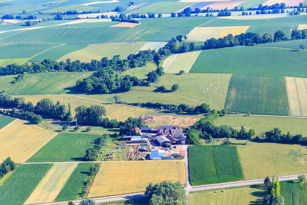 Luftbild: Holzwerk ORTH Gerd Sütterlin e.K. im Ortsteil Schaidt in Wörth im Bundesland Rheinland-Pfalz in Deutschland. Foto: IMG_083069.jpg vom 26.06.2015 durch Werner Riehm/FLY-FOTO.deHolzwerk-ORTH - in der Region gewachsen