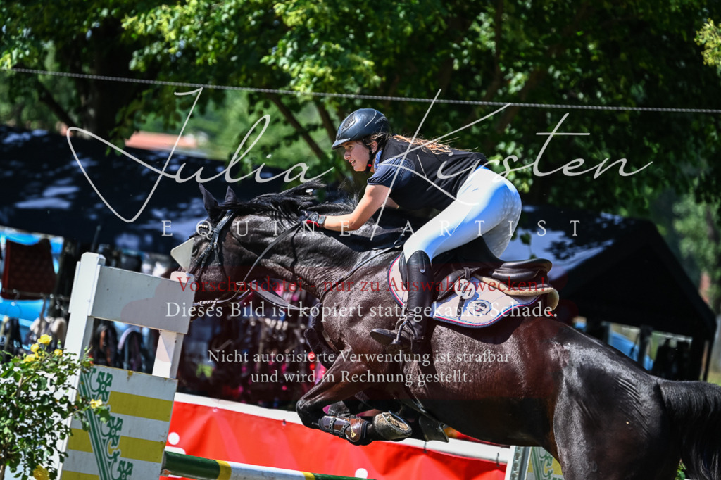 DSC_1332 | Pferde- und Turnierfotografie in Westsachsen. Pferdeportraits, Auftragszeichnungen und intuitive Kunst.