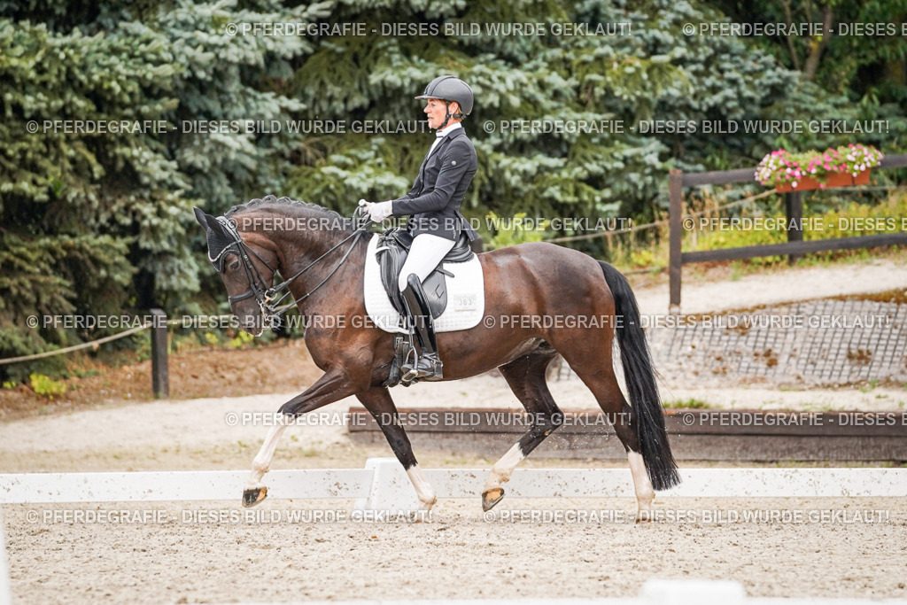 DSC07633 | Pferdegrafie