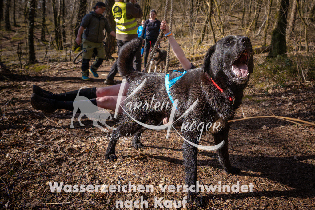 0930_ZZ98349 | kk-dogfotos