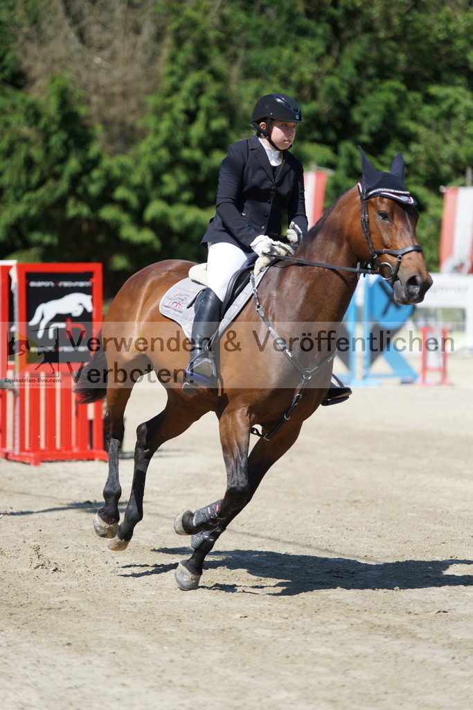 DSC06195 | equestrian-live-com
